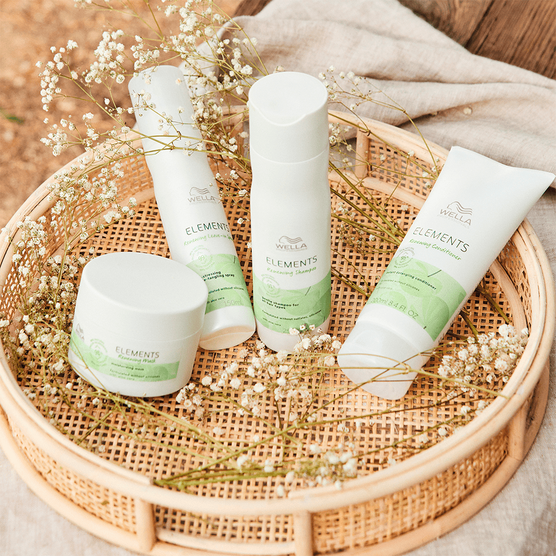 Kit Wella Professionals Elements Trio